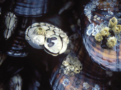 images/6.jpg