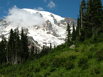 images/2.jpg