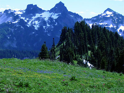 images/4.jpg
